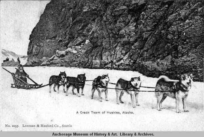 история породы аляскинский маламут